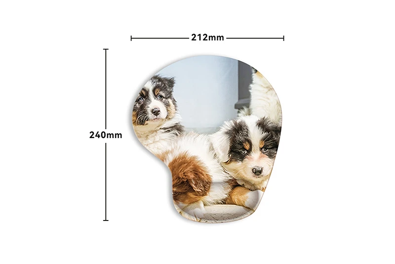 product-800-534 product-800-534
